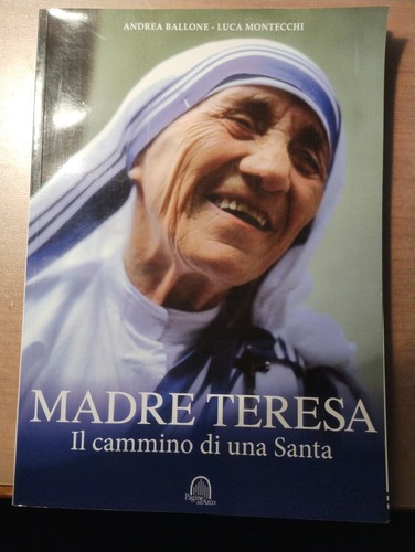Madre teresa cammino - il,